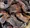 Dried fish